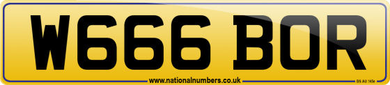 W666 BOR