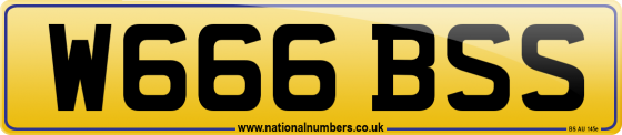 W666 BSS
