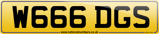 W666 DGS