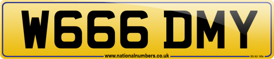 W666 DMY