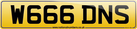 W666 DNS