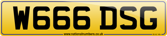 W666 DSG
