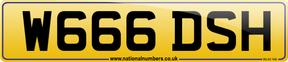 W666 DSH