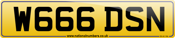 W666 DSN