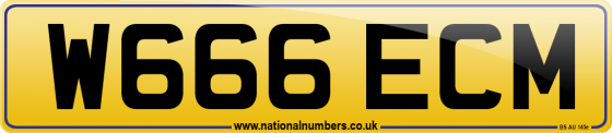 W666 ECM