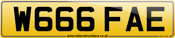 W666 FAE