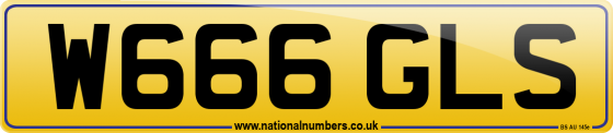 W666 GLS