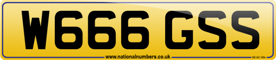 W666 GSS