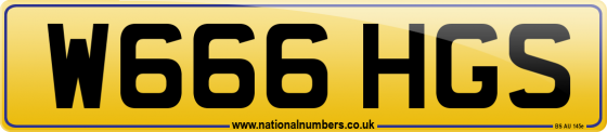 W666 HGS