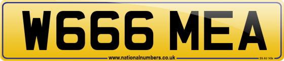 W666 MEA