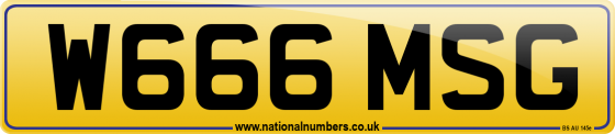 W666 MSG