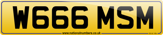 W666 MSM