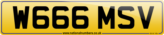 W666 MSV