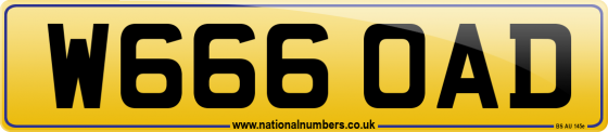 W666 OAD