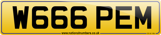 W666 PEM