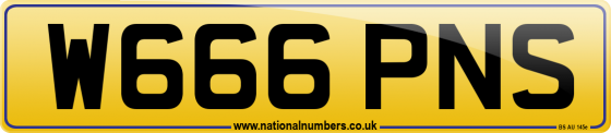W666 PNS