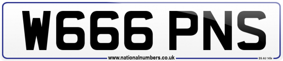 W666 PNS