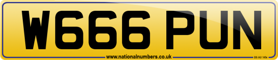 W666 PUN