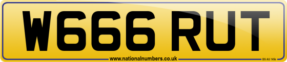 W666 RUT