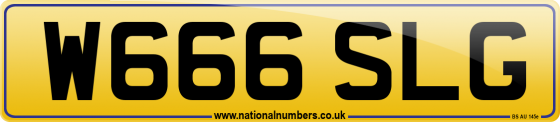 W666 SLG