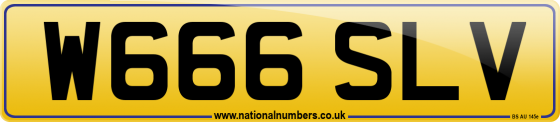 W666 SLV