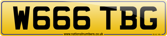 W666 TBG