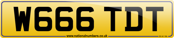 W666 TDT