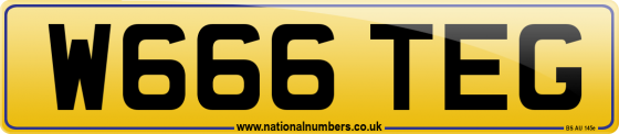 W666 TEG