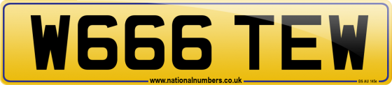W666 TEW