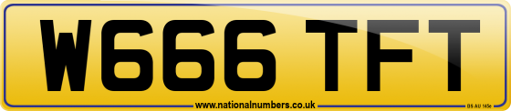 W666 TFT
