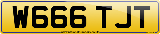 W666 TJT
