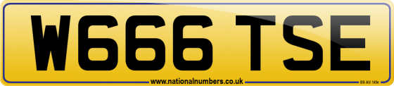 W666 TSE