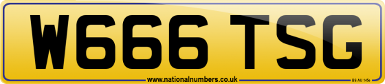 W666 TSG