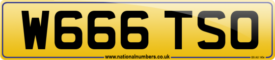 W666 TSO