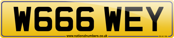 W666 WEY