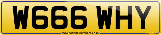 W666 WHY