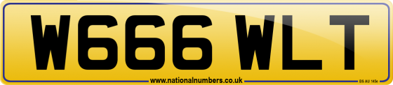 W666 WLT