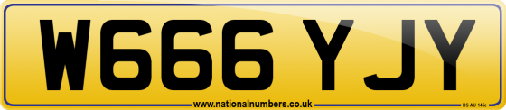 W666 YJY