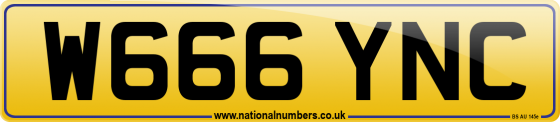 W666 YNC