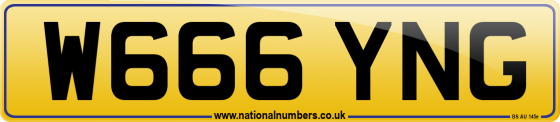 W666 YNG