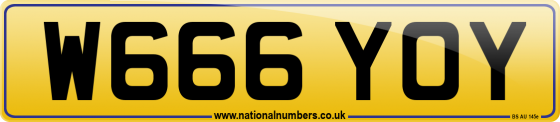 W666 YOY