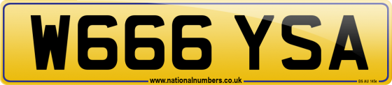 W666 YSA