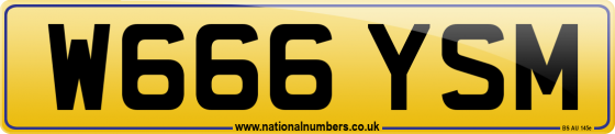 W666 YSM