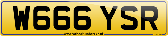 W666 YSR