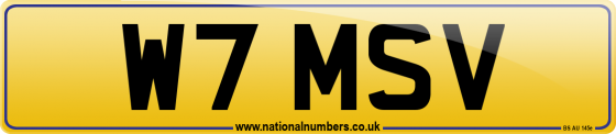 W7 MSV