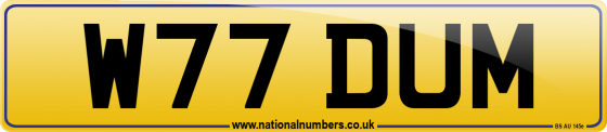 W77 DUM