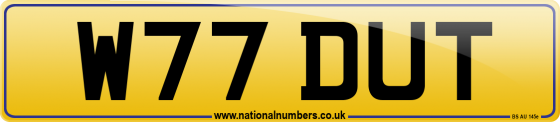 W77 DUT