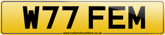 W77 FEM