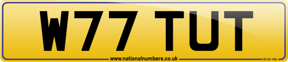 W77 TUT