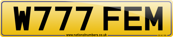 W777 FEM